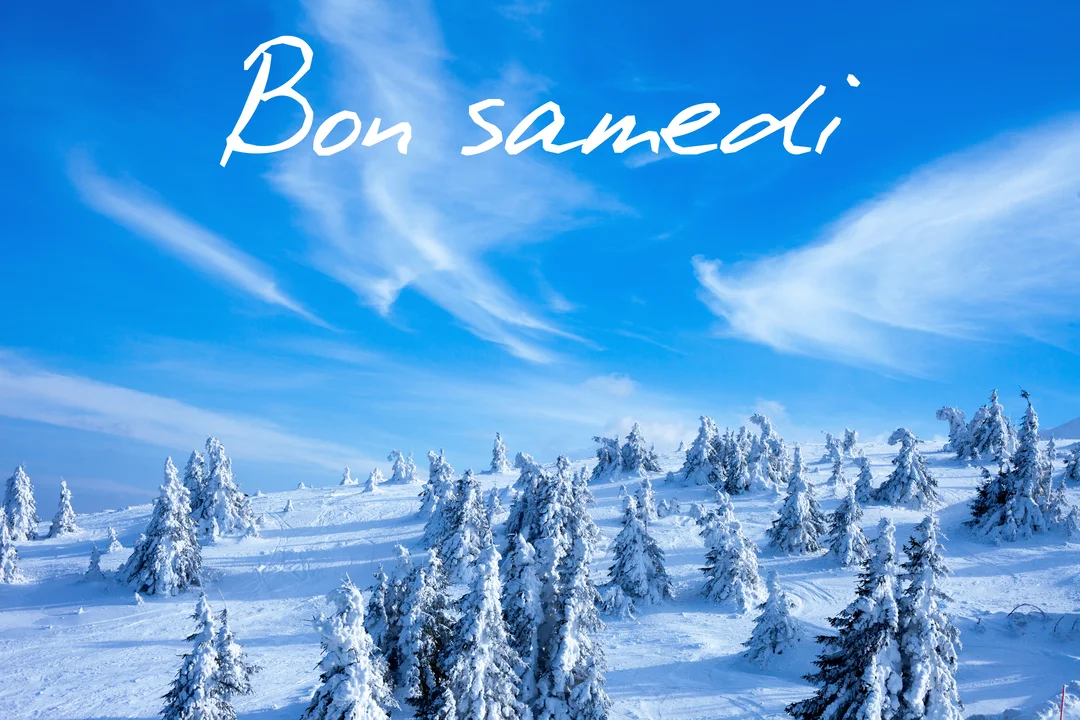 Un paysage hivernal de sapins recouverts de neige sous un ciel bleu azur, avec l'inscription manuscrite "Bon samedi" en blanc.