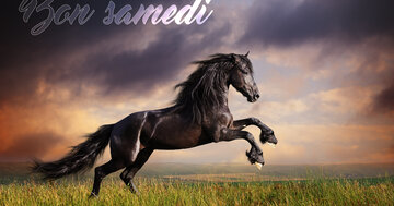 Aperçu de la carte : Bon samedi