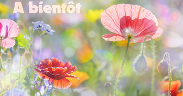 Aperçu de la carte : A bientôt