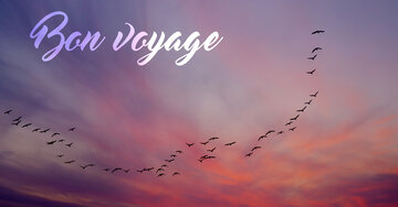 Aperçu de la carte : Bon voyage