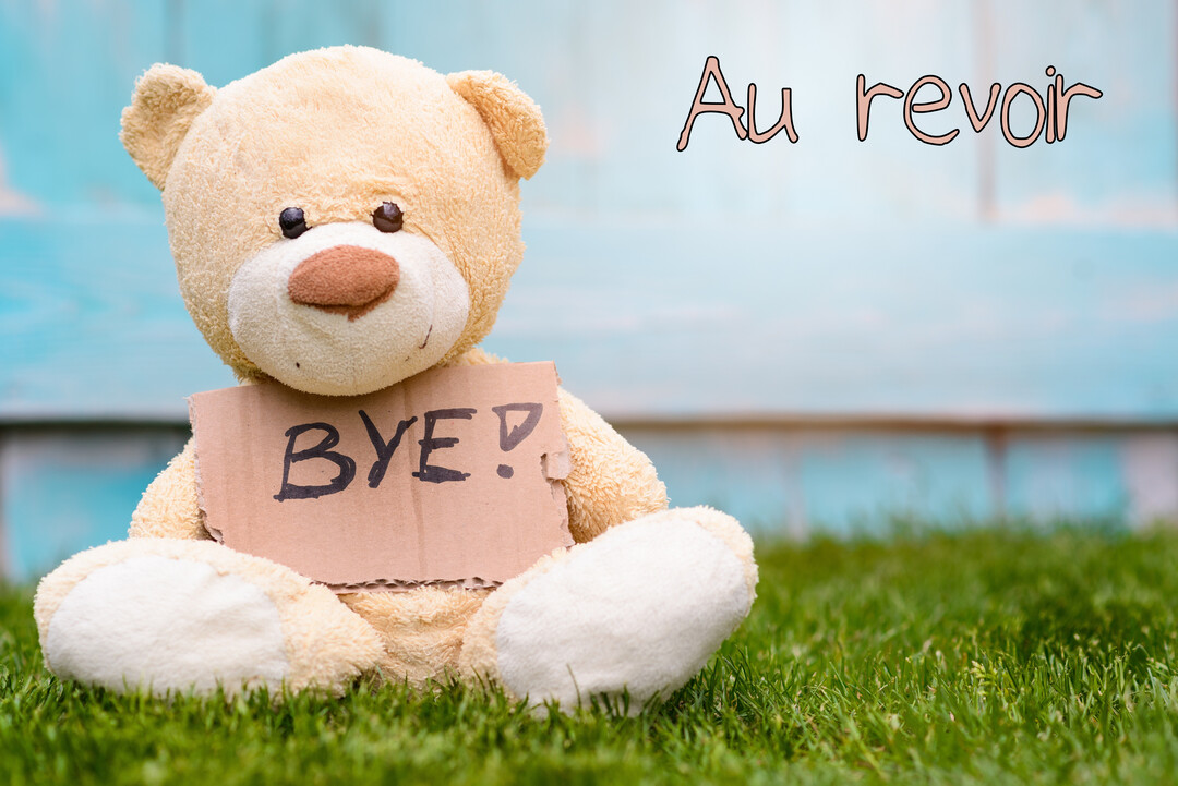 Un ours en peluche beige est assis sur une pelouse verte, tenant une pancarte en carton où est écrit 'BYE?!'.