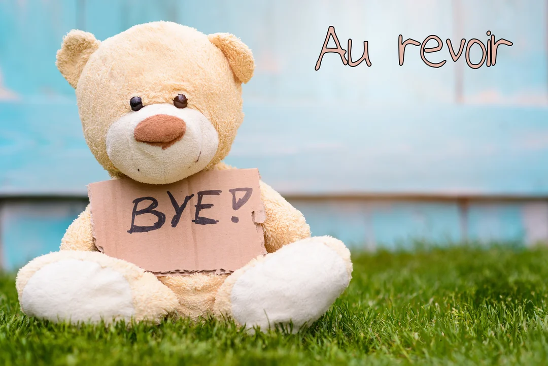 Un ours en peluche beige est assis sur une pelouse verte, tenant une pancarte en carton où est écrit 'BYE?!'.