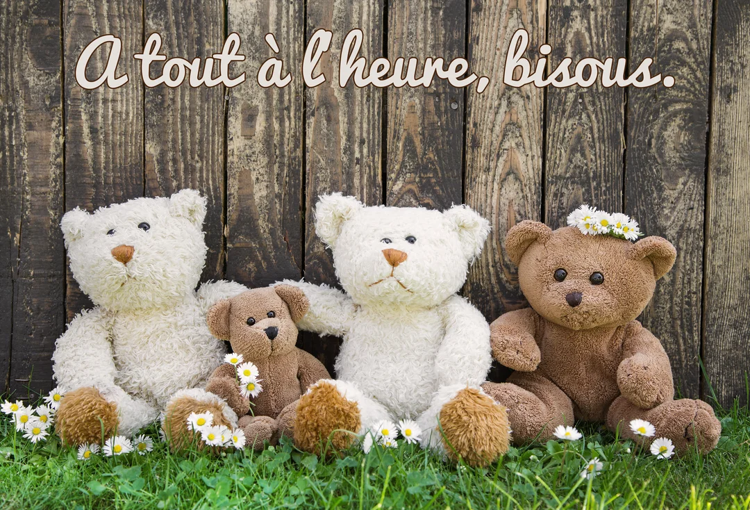 Quatre ours en peluche de différentes tailles, bruns et blancs, sont assis dans l'herbe verte luxuriante devant une clôture en bois rustique.