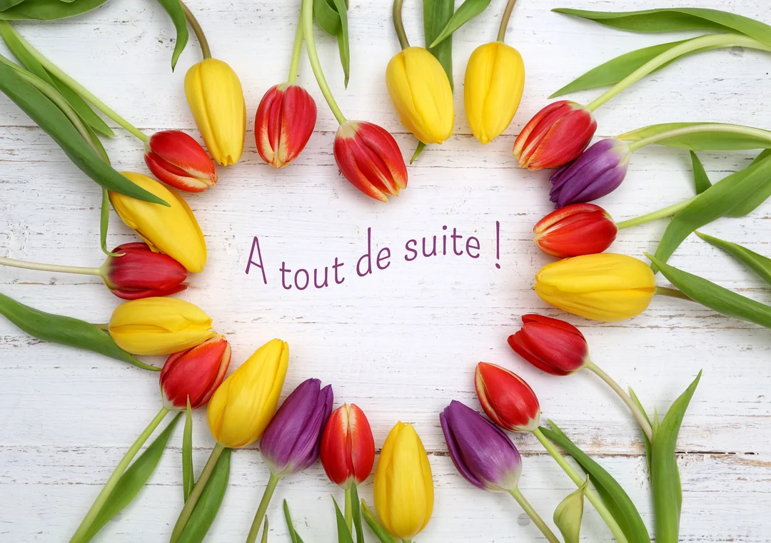 Des tulipes rouges, jaunes et violettes sont arrangées en forme de cœur sur un parquet en bois blanc, avec le texte 'A tout de suite !' au centre.