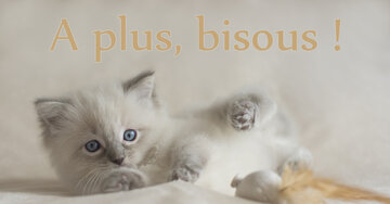 Aperçu de la carte : A plus, bisous !