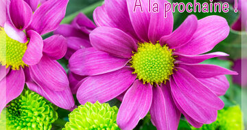 Aperçu de la carte : A la prochaine