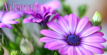 Aperçu de la carte : A demain