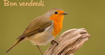 Aperçu de la carte : Bon vendredi