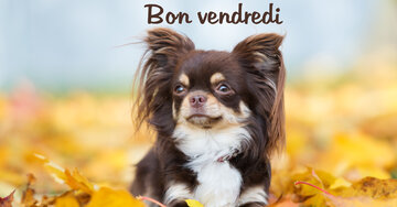 Aperçu de la carte : Bon vendredi