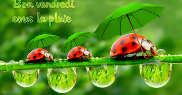 Aperçu de la carte : Bon vendredi sous la pluie