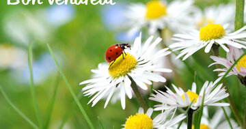 Aperçu de la carte : Bon vendredi