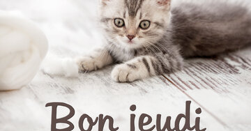 Aperçu de la carte : Bon jeudi