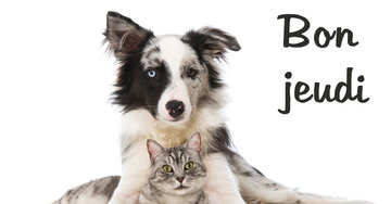 Aperçu de la carte : Bon jeudi