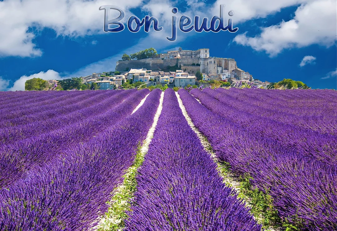 Une photographie d'un champ de lavande violette en rangées, avec un village perché sur une colline à l'horizon sous un ciel bleu nuageux.