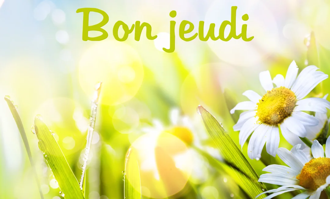 Gros plan sur des marguerites dans l'herbe baignées de soleil, avec l'inscription 'Bon jeudi' en haut dans une typographie verte et arrondie.