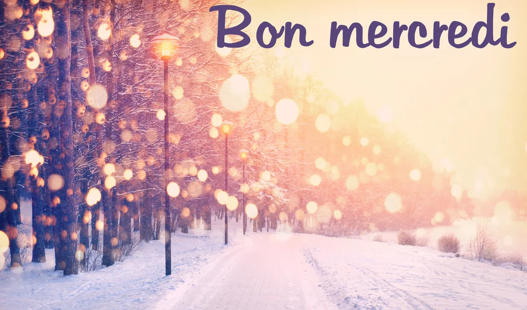 Un paysage hivernal montre un chemin enneigé bordé d'arbres et de lampadaires, baigné dans une lumière dorée avec un effet bokeh féerique.