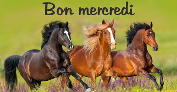 Aperçu de la carte : Bon mercredi