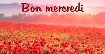 Aperçu de la carte : Bon mercredi