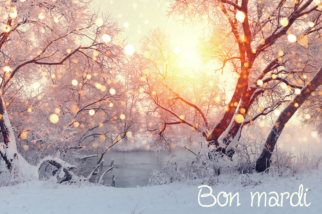 Une scène hivernale paisible montre une rivière bordée d'arbres couverts de neige, le tout illuminé par un soleil radieux et des éclats de lumière.