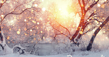 Aperçu de la carte : Bon mardi