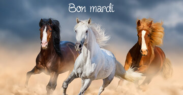 Aperçu de la carte : Bon mardi