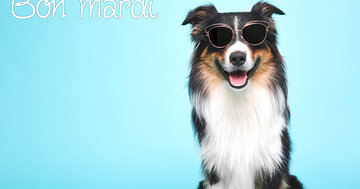 Aperçu de la carte : Bon mardi