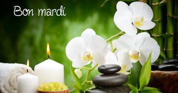 Aperçu de la carte : Bon mardi
