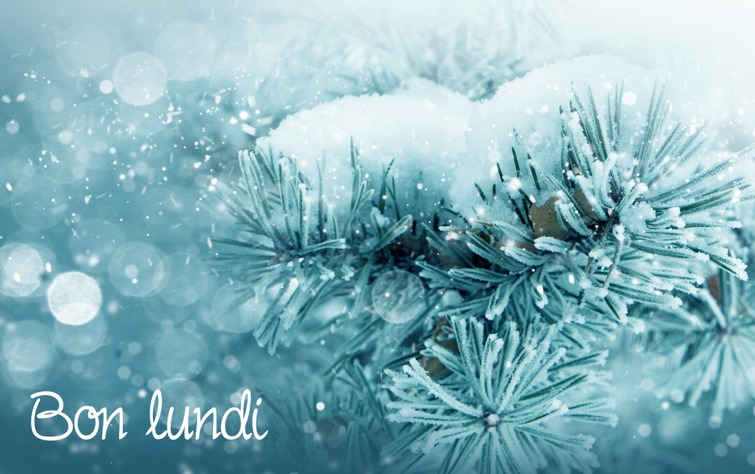 Une branche de pin givrée est couverte de neige, sur un arrière-plan bleu clair avec des flocons scintillants et un effet bokeh.