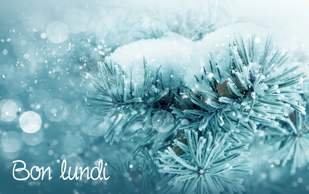 Une branche de pin givrée est couverte de neige, sur un arrière-plan bleu clair avec des flocons scintillants et un effet bokeh.