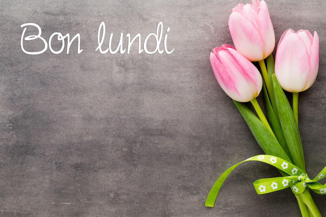 Un bouquet de trois tulipes roses et blanches repose sur une surface grise texturée, à côté de l'inscription manuscrite 'Bon lundi'.