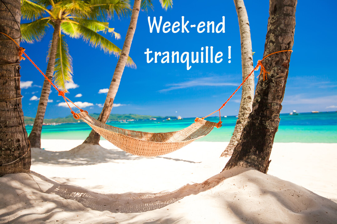 Une photo d'un hamac en osier tendu entre deux palmiers sur une plage de sable blanc, face à une mer turquoise et un ciel bleu.