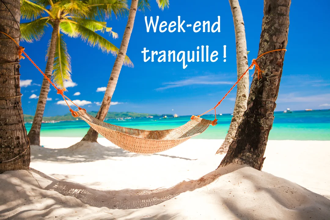 Une photo d'un hamac en osier tendu entre deux palmiers sur une plage de sable blanc, face à une mer turquoise et un ciel bleu.