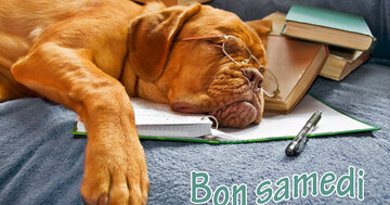 Aperçu de la carte : Bon samedi