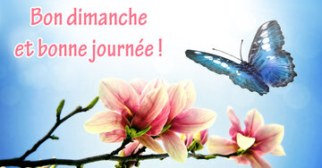 Carte Bon Dimanche avec un papillon bleu volant au-dessus de fleurs de magnolia rose se reflétant dans l'eau sur un fond de ciel bleu.