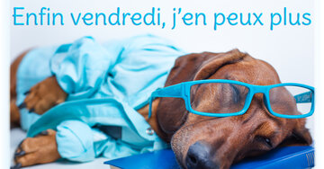 Aperçu de la carte : Enfin vendredi, j'en peux plus