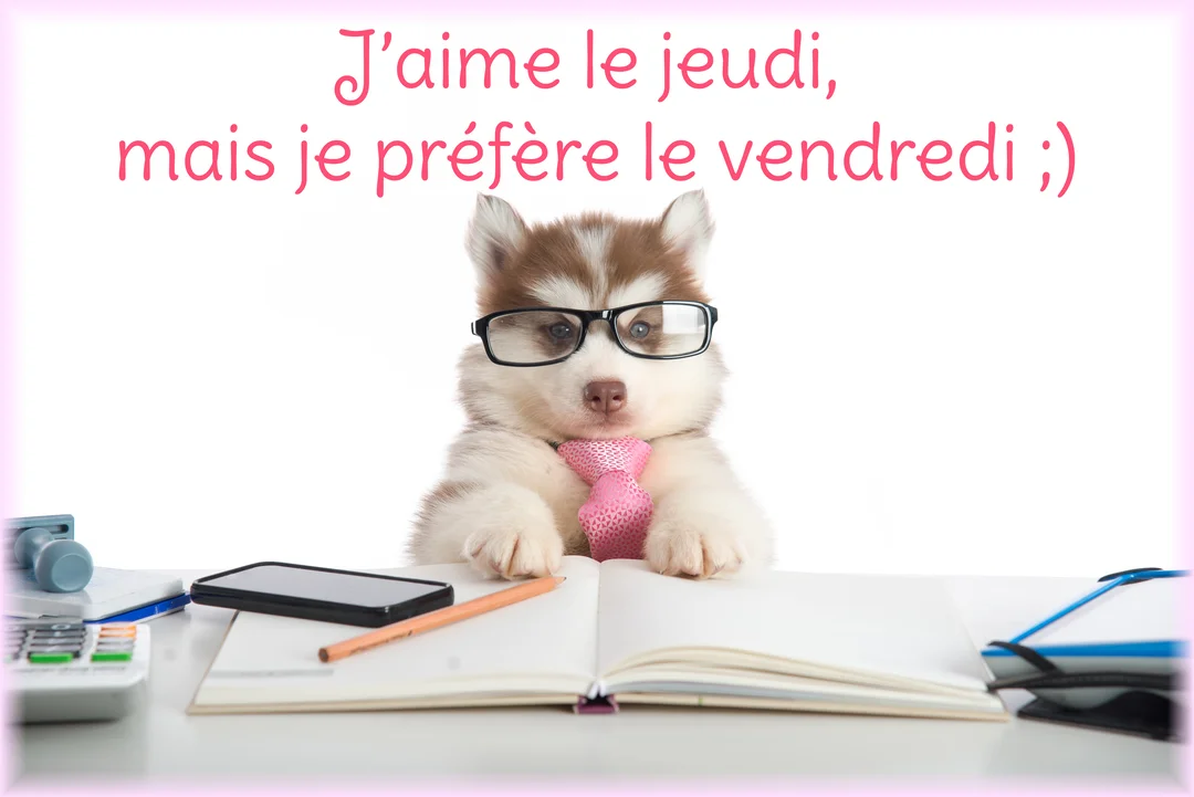 Un adorable chiot husky brun et blanc, portant des lunettes et une cravate, est assis à un bureau blanc devant un carnet ouvert.