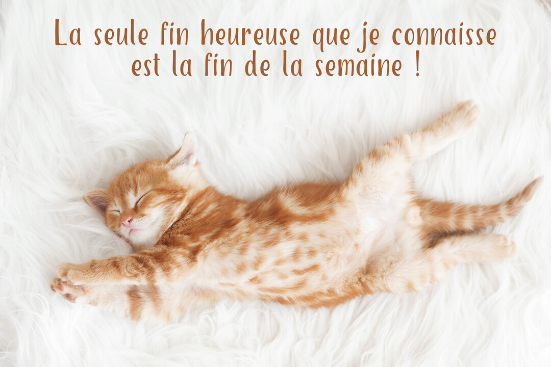 Un adorable chaton roux tigré dort paisiblement sur le dos, étiré de tout son long sur une couverture blanche et duveteuse.