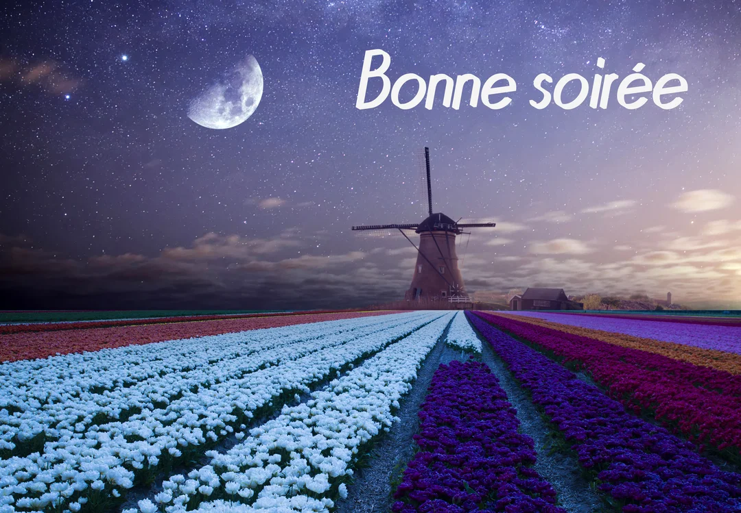 Un paysage nocturne montrant un moulin à vent devant des champs de tulipes multicolores, sous un grand croissant de lune et un ciel étoilé.