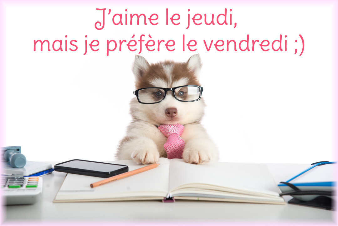 Un jeune chiot husky avec des lunettes et une cravate rose est assis derrière un bureau avec un carnet ouvert devant lui.