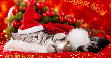 Aperçu de la carte : « Cette année pour Noël, reçois toute la tendresse et la plus douce de mes pensées... »