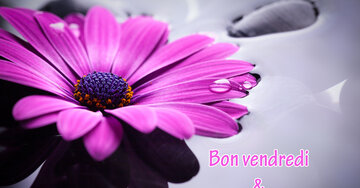 Aperçu de la carte : Bon vendredi