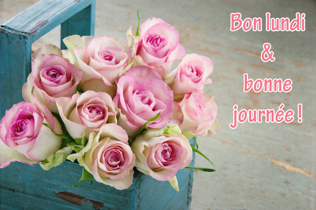 Un bouquet de roses bicolores, roses et crème, est présenté dans une boîte en bois bleu patiné, sur un fond texturé clair.