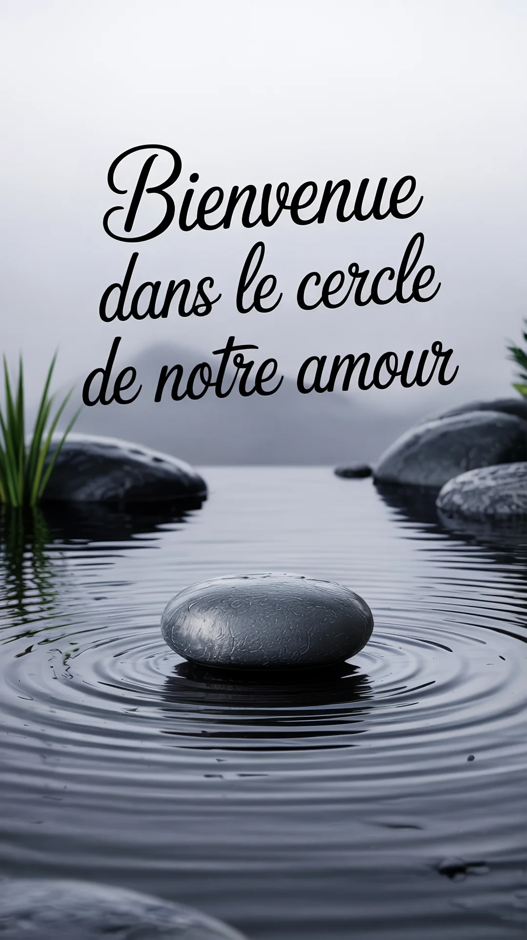 Un galet gris repose dans une eau calme et sombre, générant des ondes concentriques dans une ambiance zen et brumeuse.