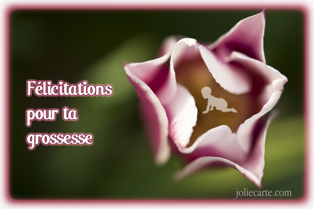 Une tulipe bicolore, rose et blanche, vue de dessus, avec en son cœur la silhouette d'un bébé qui rampe sur un fond vert flouté.