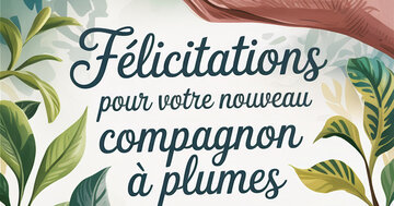 Aperçu de la carte : Félicitations pour votre nouveau compagnon à plumes