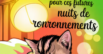 Aperçu de la carte : Félicitations pour ces futures nuits de ronronnements