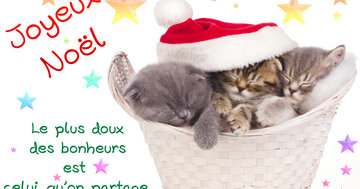 Aperçu de la carte : Le plus doux
des bonheurs
est 
celui qu'on partage.