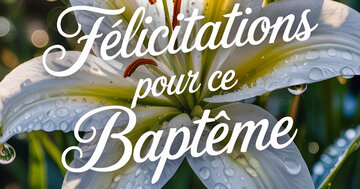 Aperçu de la carte : Félicitations pour ce Baptême