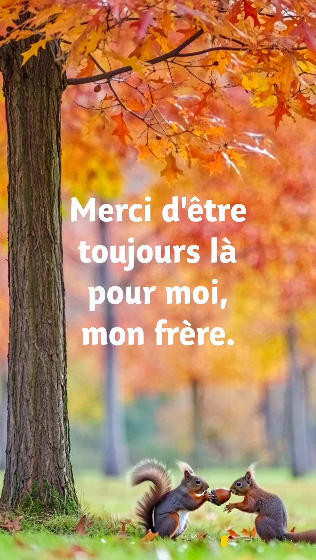 Deux écureuils partagent un gland au pied d'un grand arbre dans une forêt automnale aux feuilles orangées et jaunes.