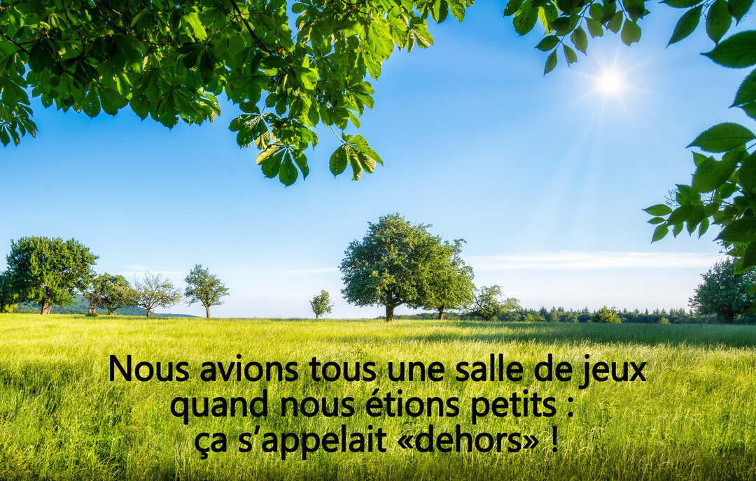 Un paysage de campagne ensoleillé avec une prairie verte et des arbres sous un ciel bleu, encadré par un feuillage vert luxuriant.